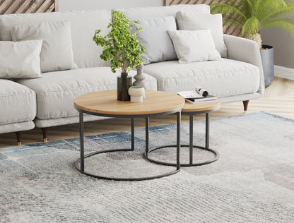 Boston Natural Nesting Coffee Table